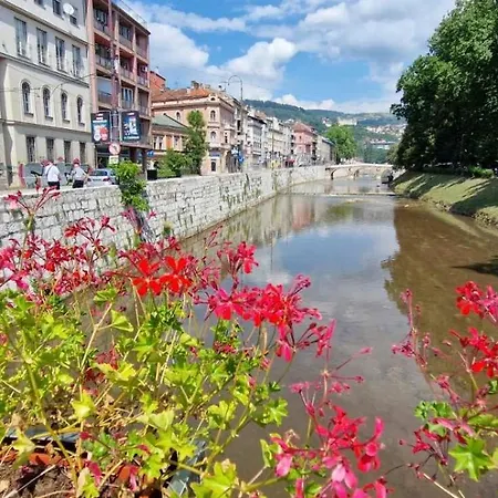 Lara * Sarajevo